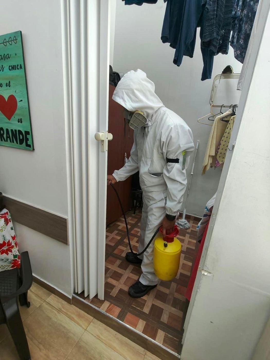 Control de plagas: Tratamiento en zona de ropas